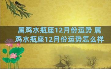 属鸡水瓶座12月份运势 属鸡水瓶座12月份运势怎么样